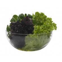 https://www.ecovidasolar.es/1752-home_default/bowl-vidrio-trendglass-jena.jpg