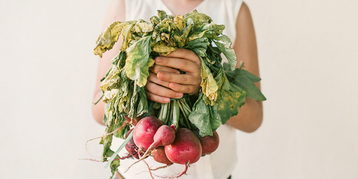 Persona sosteniendo verduras frescas del huerto